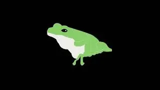 Frog animation test