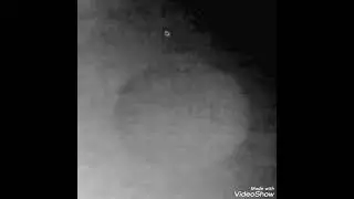 LARGE WORMWOOD-PLANET X SYSTEM BODY CAUGHT BY MAN AT 3 AM IN NIGHT SKY/METEOR DEBRIS/7.3 QUAKE/READ👇
