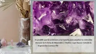 ¿Quieres conocer la EpIME?