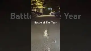 Battle of The Year #best #comedy #cat #mouse #funny #fyp #freefire #pets #pet