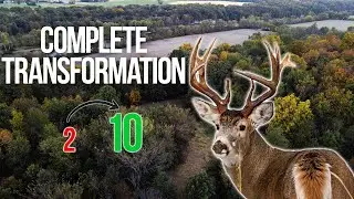 How Long Does It Take to Overhaul Habitat For Whitetail Land? - Greg Glesinger