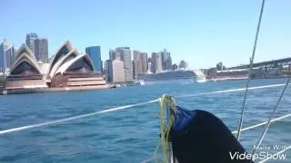 Camelot sailing 2017 in Sydney harbour