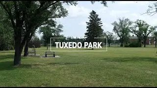 People, Places and Things to do in Tuxedo Park Calgary
