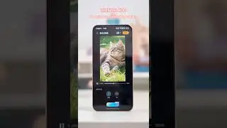 Static &rarr; living cat in seconds #HONOR400 #HONOR #SparkDailyWonder