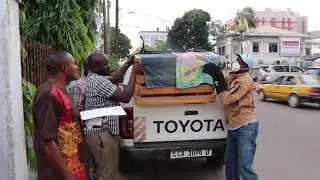 African Grey Parrot Rescue