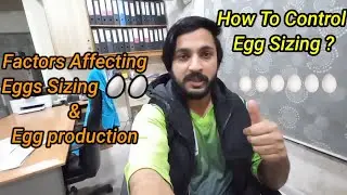 Factor Affecting Egg Size |🥚🥚| How to control these Factors and increase production @HusnainAsif