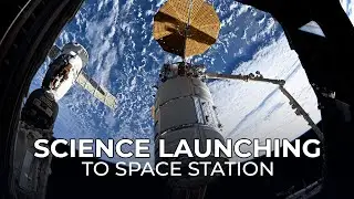 Science Launching on NASA&rsquo;s Northrop Grumman CRS-23 Mission to the Space Station