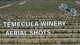 Vineyard Drone Footage : Temecula Wineries : 4K Aerial Video