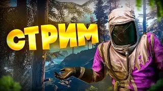 СТРИМ СОЛО ПРОТИВ СЕРВЕРА В РАСТ. СТРОЮ ДОМИК И ВЫЖИВАЮ В RUST. #rust #rustnews #раст