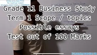 Grade 11 Business Study Term 1 | Scope & Essays Topics for 2025