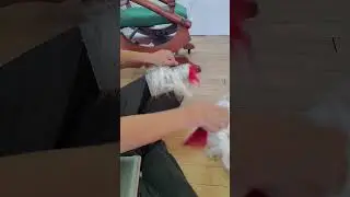 Reviving a LOST ART--- Hand carding a wool angora to make yarn #yarn #angora #wool #homestead
