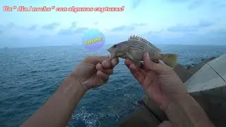 Pescando en espigon!  Dia / Noche salieron cositas...