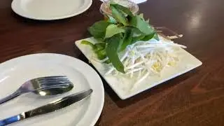 Vietnamese food at Pho King, fried egg rolls with lettuce & fish sauce, pho with brisket & tendon