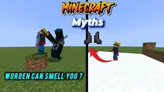 Minecraft 1.21.11 Myths That Sound Fake But Are Real!