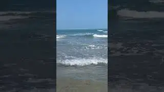 #seastheday