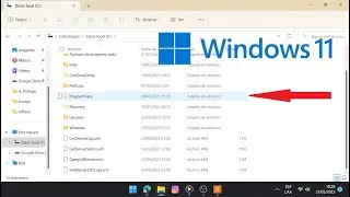 Como ver archivos ocultos Windows 11