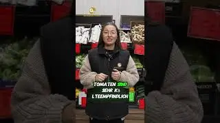 Geh&ouml;ren Tomaten in den K&uuml;hlschrank? | Golden Pack Berlin Gro&szlig;- & Einzelhandel