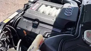 2003 Audi S8 6-speed start and rev, engine running