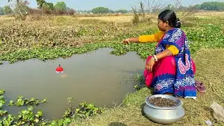 Fishing Video || Beautiful young lady fish catching in the village popular canal || hook fishing