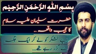 Hazrat Suleman (a.s) ka Waqia || Maulana Arif Hussain Kazmi