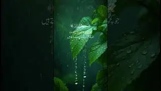 Surah Al Infitar#love#allah#trendingshorts#like#subscribe#share