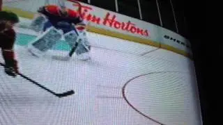 Funny EA NHL 14 Glitches