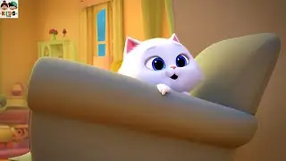Meow Meow Pyari Billi | meow meow | Cute Cat video | Cat video |