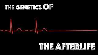 Biology of the afterlife - gene expression after death