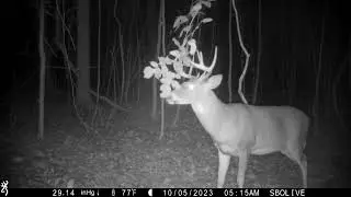 Split G3 Buck Works Scrape | Browning Spec Ops Advantage