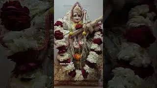 #viralreels #motivation #viralvideo #viral #vairalpost #tranding #highlights #viral #video #ai