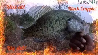 HOW TO CATCH CRAPPIE ON A VERY WINDY DAY FROM THE BANK! #share #watchnow #fyp