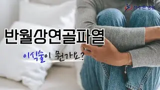 반월상연골파열 3 시리즈 1 - 기능, 해부학, 이식술방법