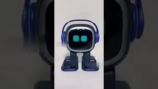 Vector robot teaching emo 
