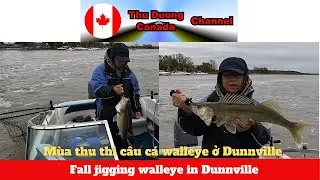 Fall jigging walleye in Dunnville-Thu duong canada channel