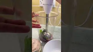 Black#grapemojito#sugarfree #mojitoathome#mojitodrink #mojitos#asmrsounds @letscookwithshipra2021