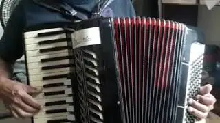 Bertinni polif&ocirc;nica 120baixos