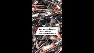 New gun and protest laws pass NSW parliament overnight