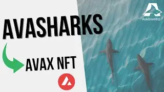 AVASHARKS | AVAX NFT PROJECT OVERVIEW