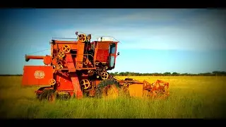 Cosechadoras ROTANIA N8 y Autohileradora ROTANIA H3 - La Pampa (Argentina), Omar y Luis Fetter