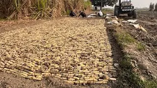 गन्ना पौध (STP) तैयार करना सीखे फ्री में | पौध तैयार करने से लेकर खेत तक लगाने की जानकारी #kisanadda