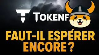 FLOKI & TOKENFI