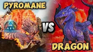 ARK Ascended | Pyromane vs Dragon Alfa Server Oficial | Ps5 4k 60fps