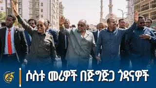 ጠቅላይ ሚኒሰትር ዐቢይ አሕመድ (ዶ/ር)፣ የጂቡቲና የሶማሊያ ፕሬዚዳንቶች  በጅግጅጋ ጎዳናዎች