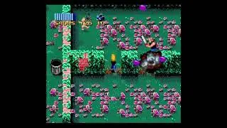 Super ZAMN all neighbors saved showcase