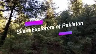 Exploring Peaceful Muree, Pakistan (Best time to explore muree)