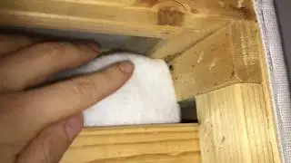 Bed Bug Evidence: Have I got Bed Bugs?