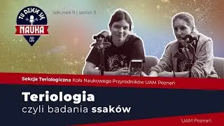 Teriologia o... lisach złodziejach, bezczelnej myszy i spotkaniu z rysiem!