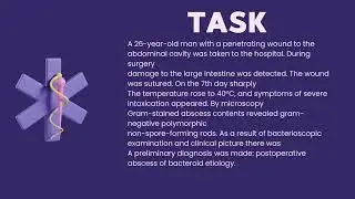 Task 3