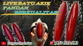 LIVE BATU AKIK PANDAN NUSANTARA