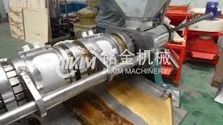 Price Rice Oil Cold-pressed Oil Pressing Machines in South Africa Oil Press Machine